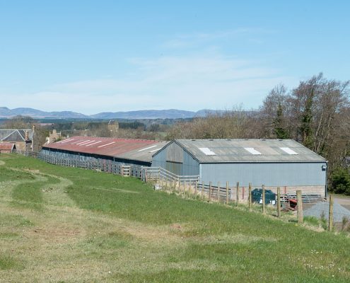 Millhouse Farm